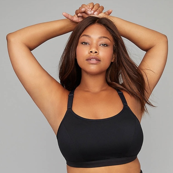 lane bryant livi active sports bra